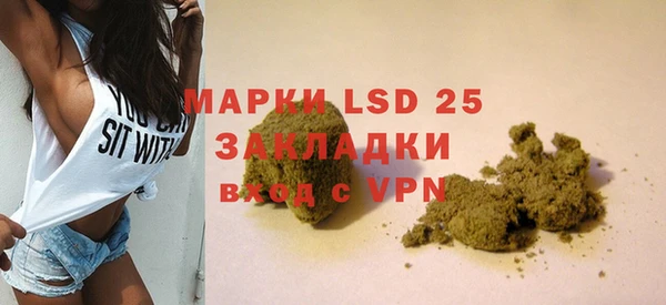 прущие грибы Богородицк