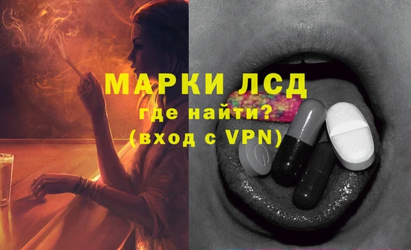 прущие грибы Богородицк