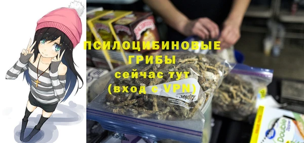 молекула духа Богородск