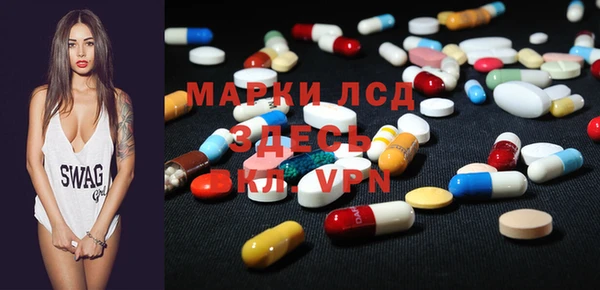 прущие грибы Богородицк